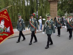 sf sonntag 2024126